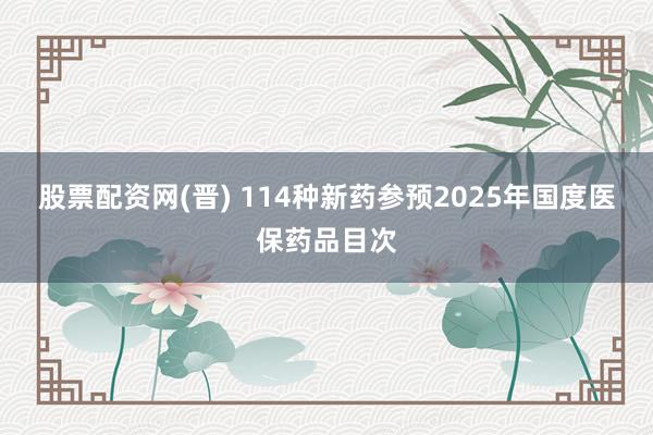 股票配资网(晋) 114种新药参预2025年国度医保药品目次